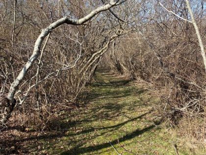 19 Sherburne Turnpike Cliff