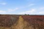 44 Madequecham Valley Road Nantucket Thumb 