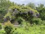 263 Polpis Road Nantucket Thumb 