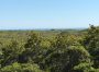 49 Tom Nevers Road Nantucket Thumb 