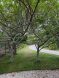 49 Tom Nevers Road Nantucket Thumb 